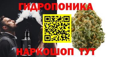 PSILOCYBIN Мариинск