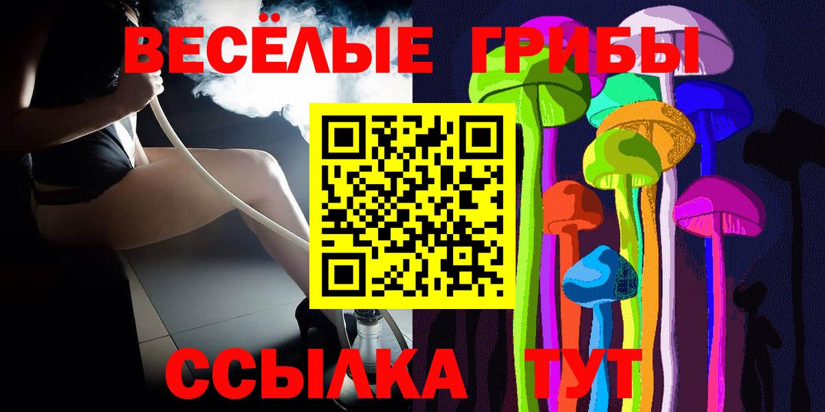 Галлюциногенные грибы Psilocybe Зима